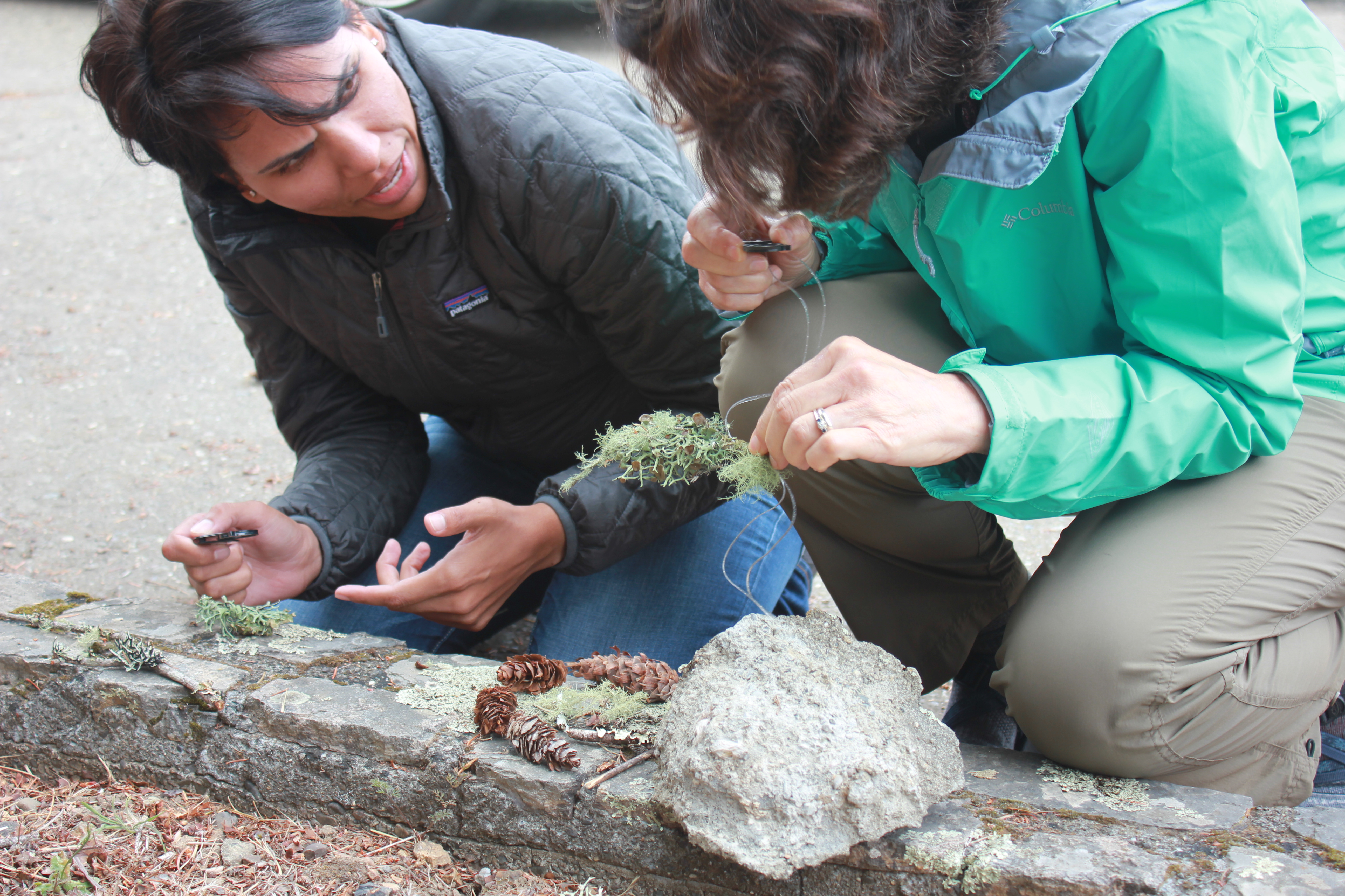 BEETLES participants discuss lichen during an activity.