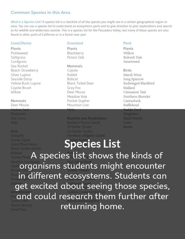 5. species list_caption