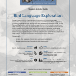 Bird Language Exploration