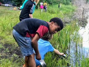 Frog catching