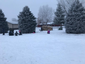 students making observations in the schoolyard