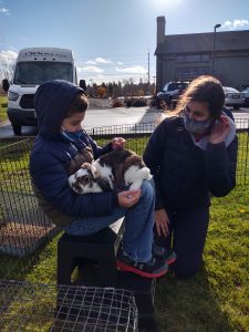 Students interacting with animals outdoors as part of NCI's outdoor learning program in 2020.