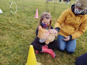 Students interacting with animals outdoors as part of NCI's outdoor learning program in 2020.