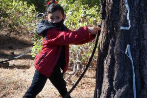 A learner in an outdoor learning space as a part of Sierra Nevada Journeys' 2020 pandemic pilot.