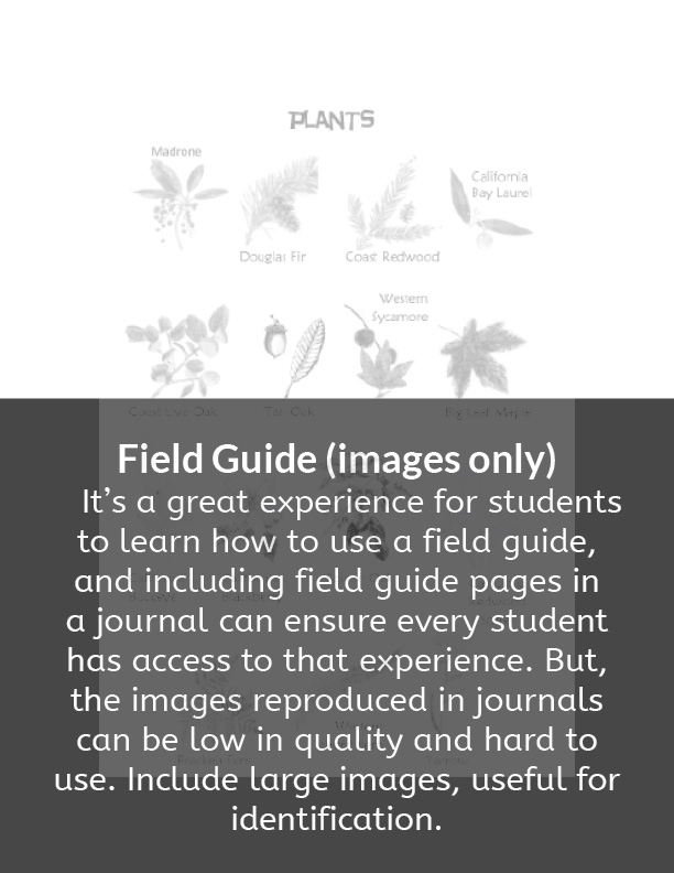 6. field guide-caption