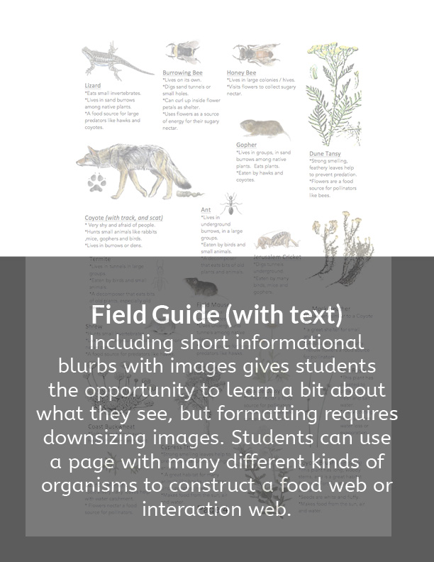 6a. Field guide with text_with captions